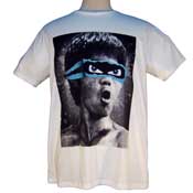 Bruce Lee Ninja Turtle Shirt